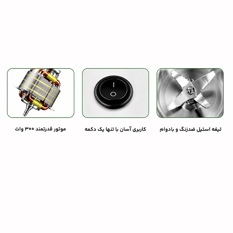 آسیاب 300 وات ظرفیت 300 گرم راف مدل R.7113