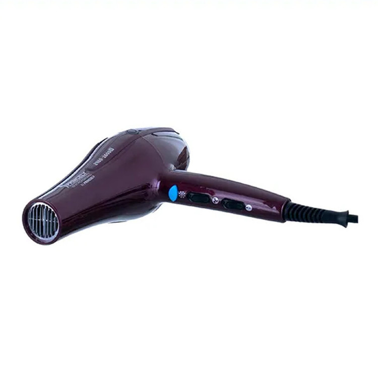 سشوار حرفهای 2400 وات پرینسلی مدل PR250AT، موتور AC، وزن 550 گرم، المنت فلز، دارای سری متمرکزکننده باریک، متمرکزکننده پهن با ویژگی صافکنندگی، حجمدهندگی با قابلیت باد سرد