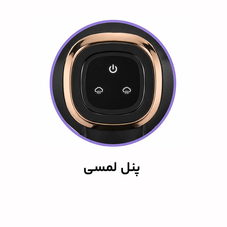 بخارگر 1500 وات راف مدل R.18000