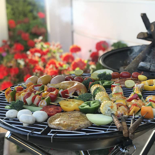 باربیکیو پارمیس مدل BBQ 412