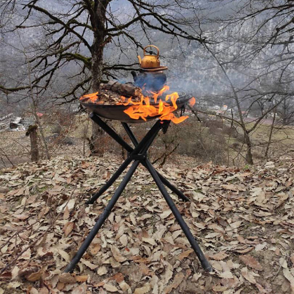 باربیکیو پارمیس مدل BBQ 412