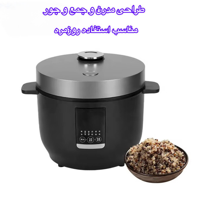 پلوپز 2 نفره مدل QC01