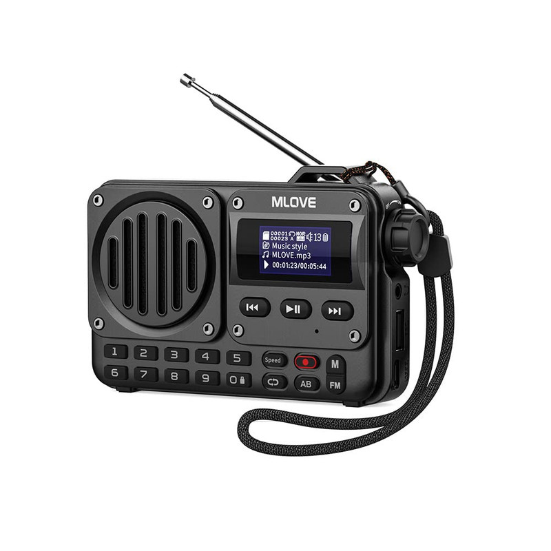 رادیو FM ام لایو مدل BV800 دارای Bluetooth