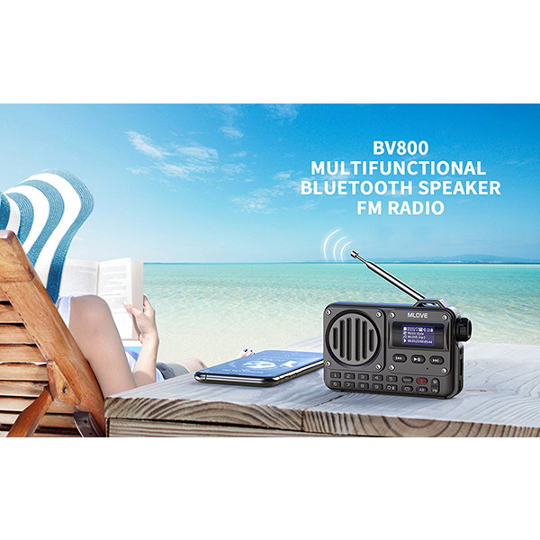 رادیو FM ام لایو مدل BV800 دارای Bluetooth