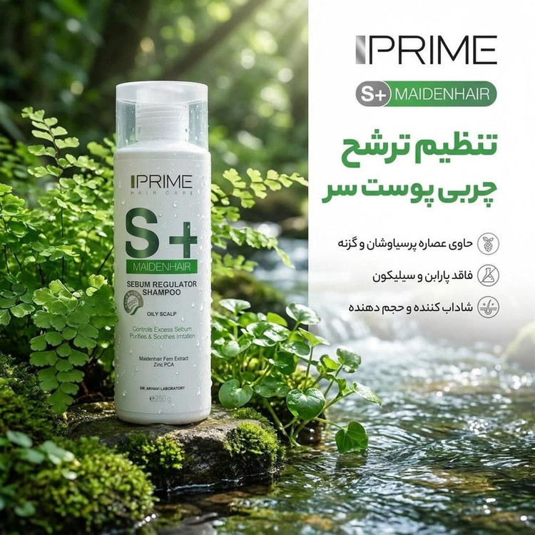 شامپو متعادل کننده چربی پرایم مخصوص موهای چرب، حجم 250 میلیلیتر، حاوی پروتئین گندم و لاکتیک اسید، بدون پارابن و سیلیکون، ضد التهاب، تنظیم ترشح چربی پوست سر و شاداب کننده با عصاره پرسیاوشان، گزنه و علف چشمه