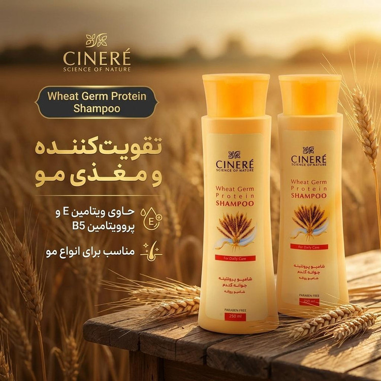 شامپو پروتئینه جوانه گندم سینره مدل پروتئینه جوانه گندم حجم 250 میلیلیتر، تقویتکننده، حاوی ویتامین E و پروویتامین B5، مناسب انواع مو، بسته 2 عددی