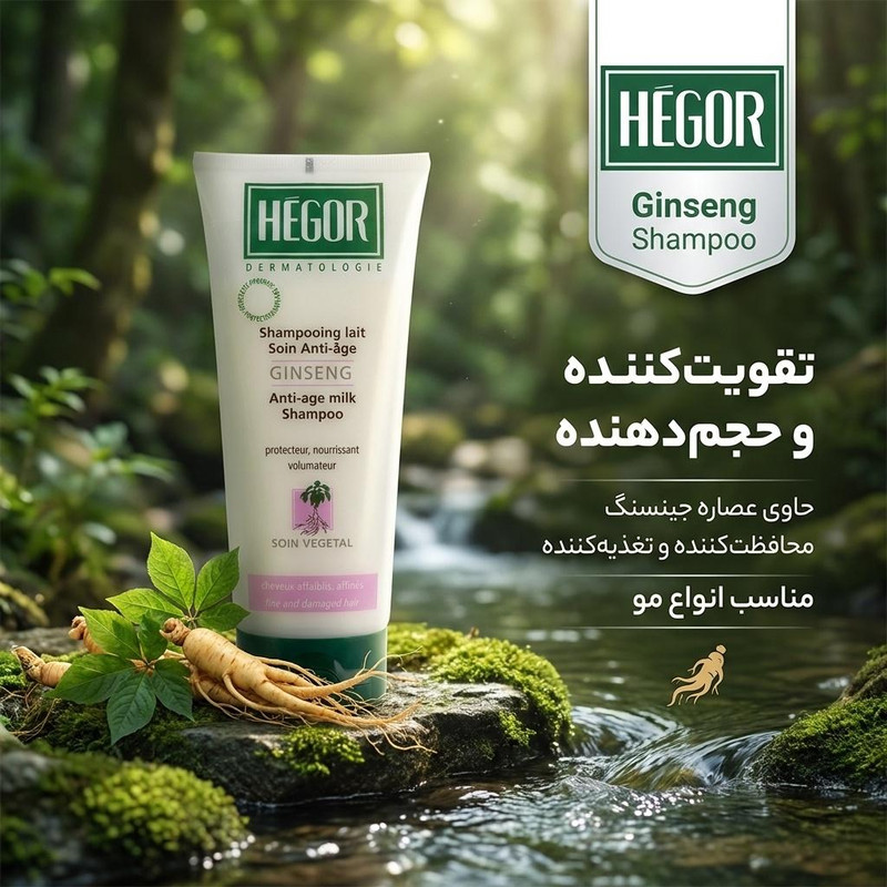 شامپو مو هگور مدل جینسنگ حجم 200 میلیلیتر، تقویتکننده، حجمدهنده، محافظتکننده و تغذیهکننده مو، خنثیکننده رادیکالهای آزاد، بازکننده گره مو، مناسب انواع مو، خانمها و آقایان