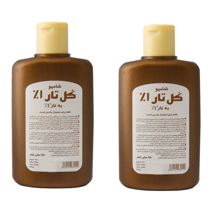 شامپو ضد شوره مو کل تار مدل BHS حجم 150 میلیلیتر کاهشدهنده چربی، ضد التهاب، ضد قارچ، ضد خارش، تنظیمکننده چربی پوست سر بسته 2 عددی