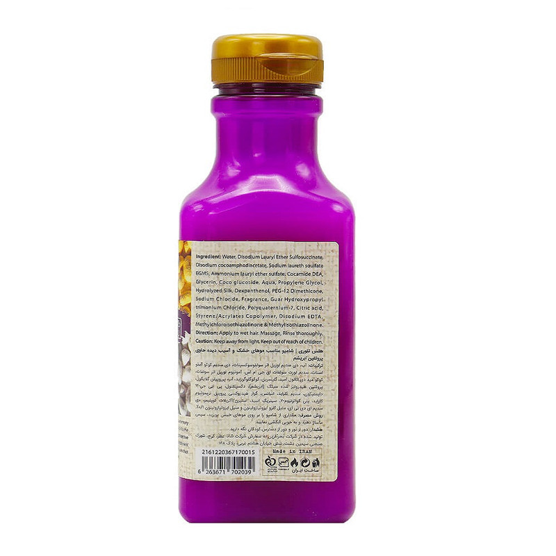 شامپو تقویت کننده و ترمیم کننده مو هلس تئوری مدل Silk Amino Acid حجم 385 میلی لیتر