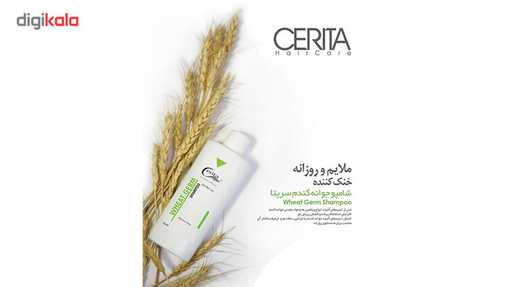 پک شامپو فوم کاشت مو و شامپو جوانه گندم سریتا مدل Hair با حجم 150 و 200 میلیلیتر، ضد ریزش، تقویتکننده، ترمیمکننده، افزایش استحکام و حجم مو، حاوی عصاره گزنه، نعناع فلفلی، رزماری و مریم گلی، مناسب انواع مو، خانمها و آقایان