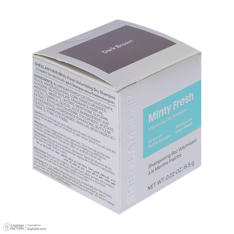 شامپو خشک حجم دهنده مو شیگلم مدل Minty fresh مناسب برای انواع مو وزن 6.5 گرم