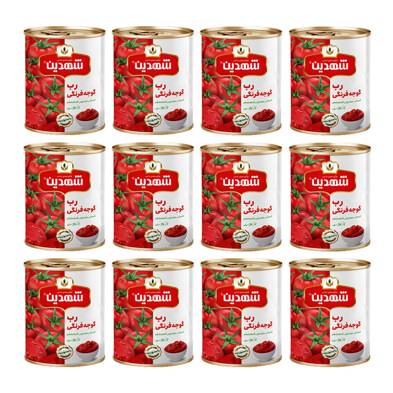 کنسرو رب گوجه فرنگی شهدین - 800 گرم بسته 12 عددی