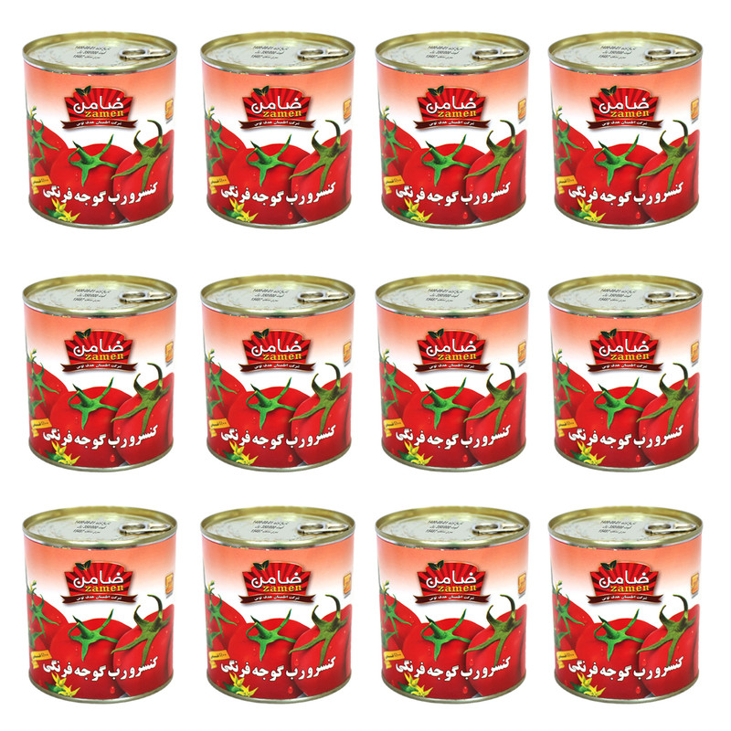 رب گوجه فرنگی غلیظ ضامن - 800 گرم بسته 12 عددی
