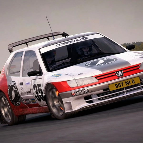 بازی Dirt Rally مخصوص PC نشر لیمو استور