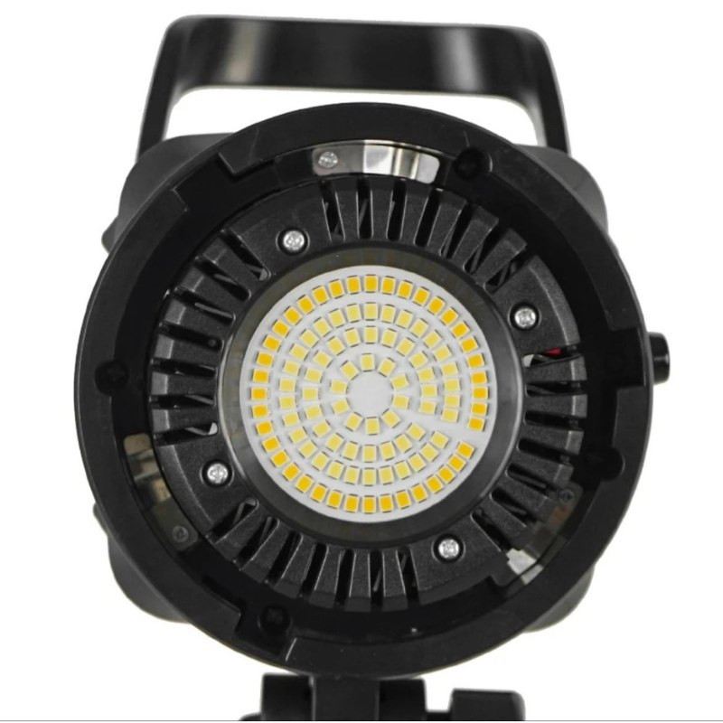 نور ثابت کد 1201 BK مدل 300w
