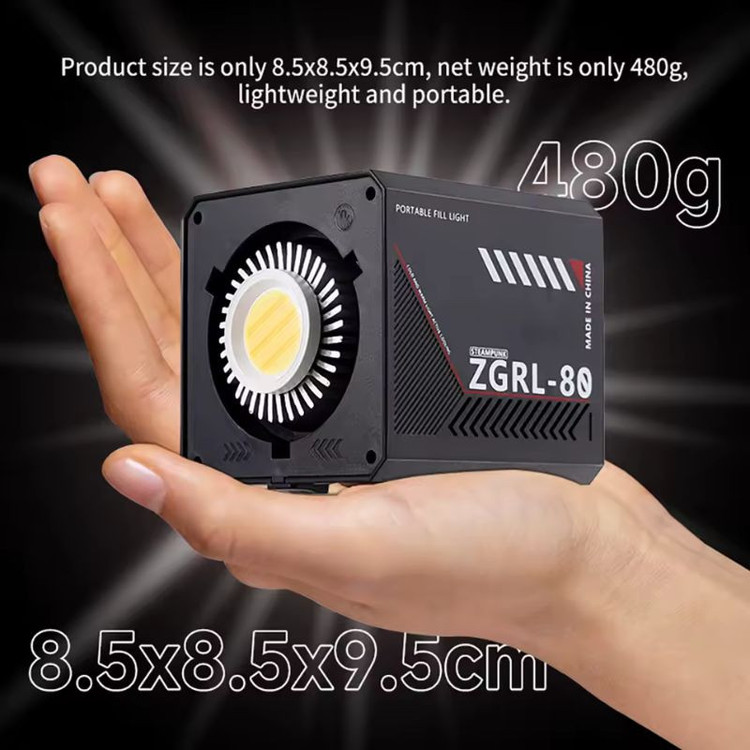ويديو لايت ميني مدل ZGRL-80 KING POWER