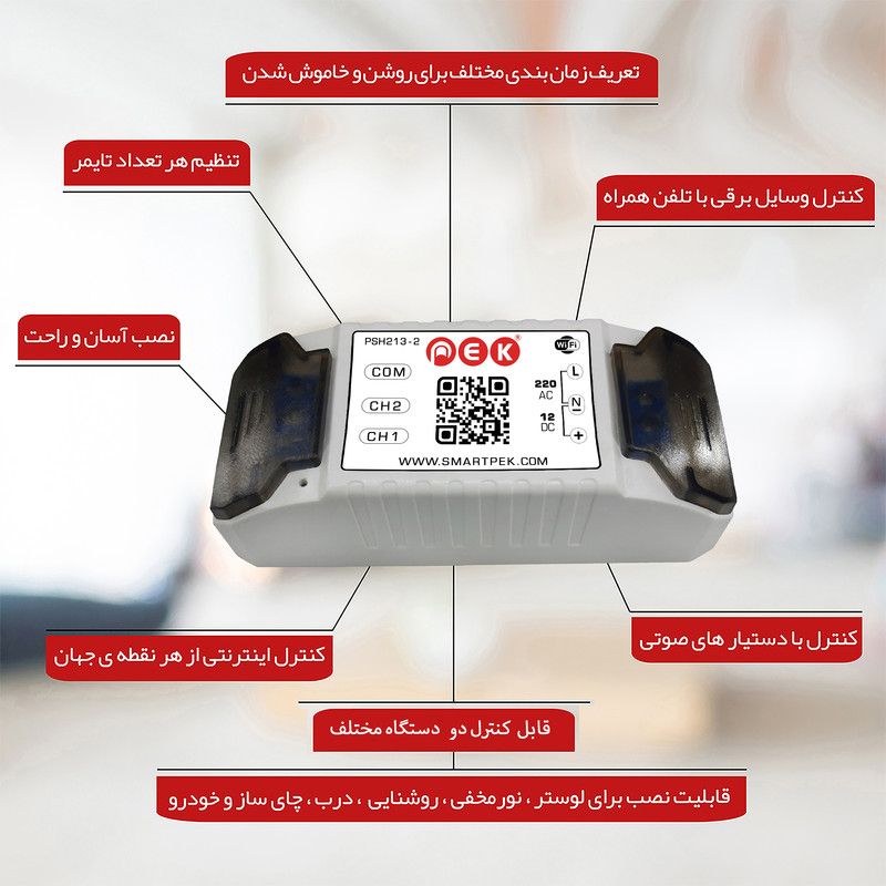 رله سوئیچ هوشمند پِک مدل دو کانال