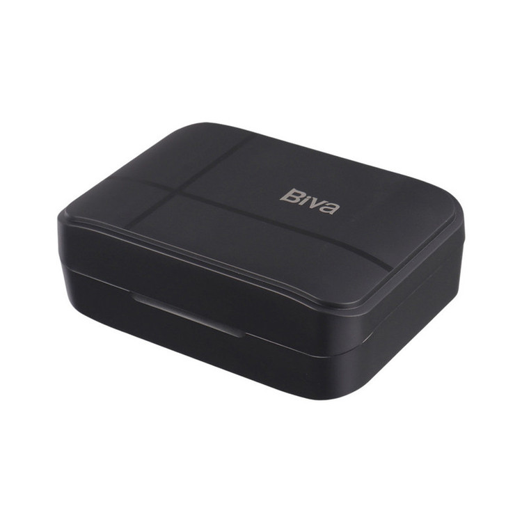 ست میکروفن بی سیم بیوا مدل WM-04