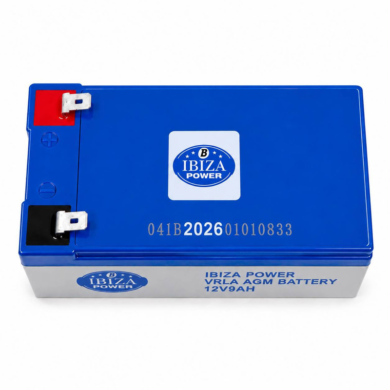 باتری UPS با ولتاژ 12 ولت و شدت جریان ۹ آمپر ساعت ایبیزا مدل 12V9AH 2026