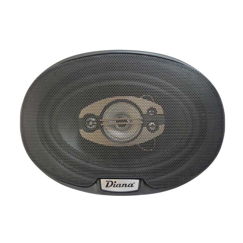 اسپیکر پشت خودرو دیانا مدل DS-6998 سایز 9*6 اینچ بسته دو عددی