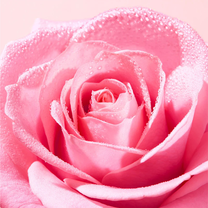میسلار واتر نوکس مدل Very Rose مناسب انواع پوست حجم 400 میلیلیتر